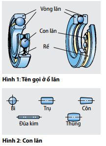 hinh1-hinh22