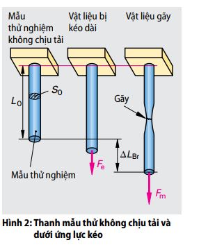 hinh2-thanh-mau-thu