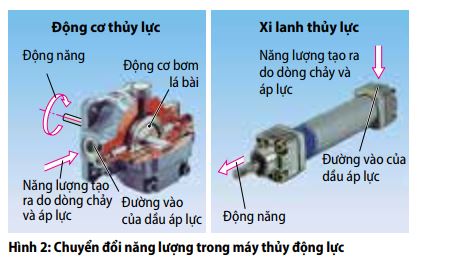 hinh2-thuy-luc