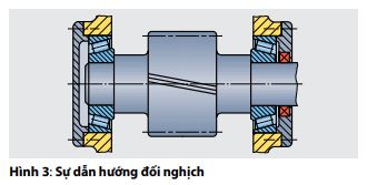 hinh3-su-huongdoi-nghich