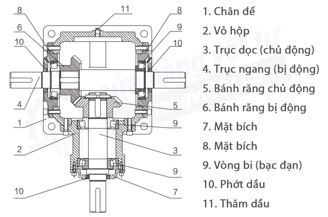 cấu tạo hộp phân phối truyền động chữ T